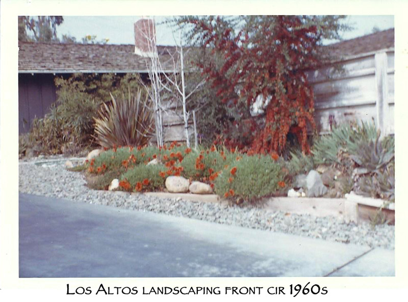 044-Los-Altos-lands#160045