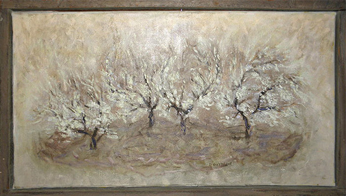 13 Almond Trees in Bloom